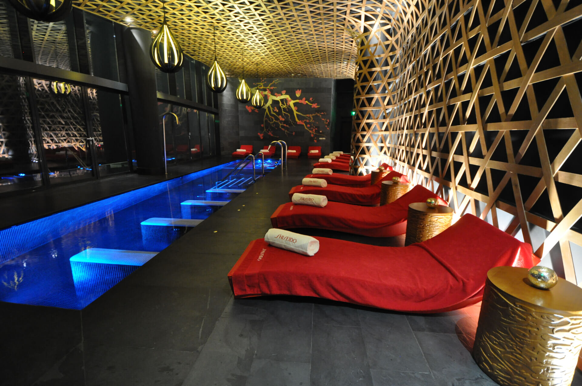 Proiect Wellness Laghetto